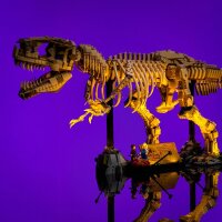 LMB 2.0 LED Kit d&rsquo;&eacute;clairage pour LEGO&reg; 76968 Les fossiles de dinosaures - le Tyrannosaurus rex