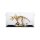 Acrylic display for LEGO&reg; 77985 Dinosaur Fossils - Triceratops (With black floor)