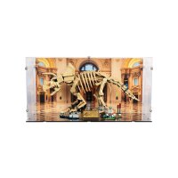 Pr&eacute;sentoir en acrylique pour LEGO&reg; 77985 Les fossiles de dinosaure - le tric&eacute;ratops (With background image & black base)