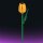 Stone Heap - Tulipano giallo singolo (63 pezzi)